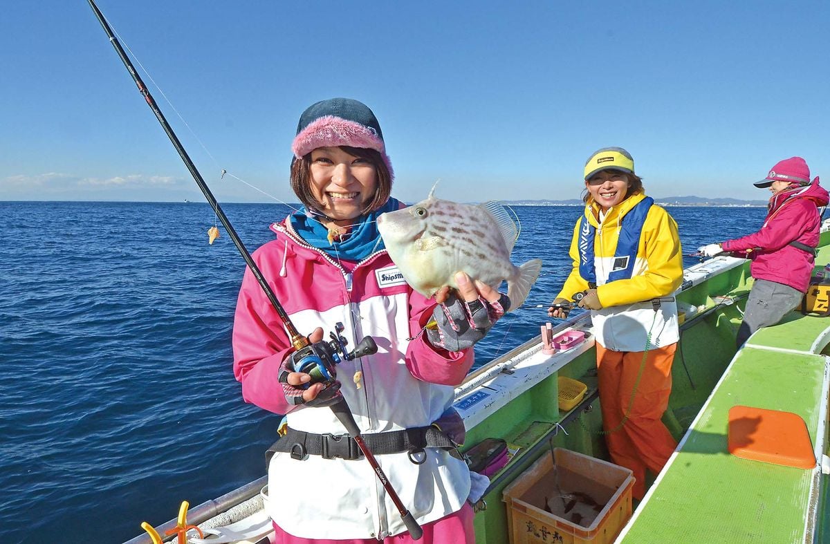 カワハギ釣り入門解説│船の乗り方・道具解説・釣り方など | 魚種別釣りガイド